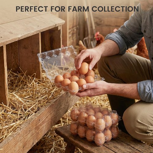 LOVEINUSA 100 PCS 12 Count Plastic Egg Cartons, with 105PCS Date Labels, Bulk Clear Reusable Egg Holder for Fresh Medium Eggs Storage, Suitable for Farms, Families, Markets Display