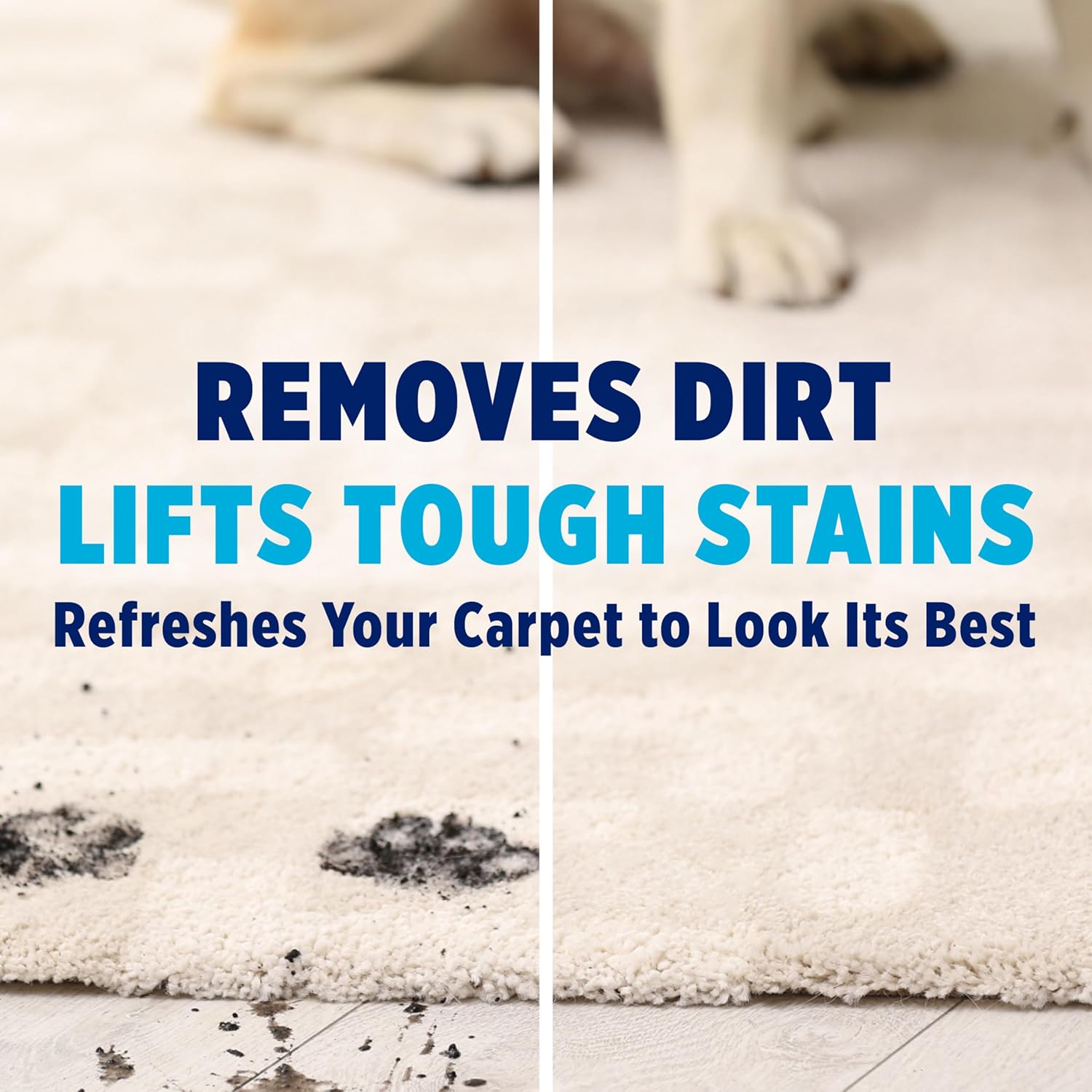 OxiClean Large Carpet Cleaner | Powerful Steam Cleaning Solution - 64 Fl Oz