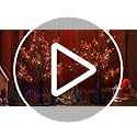 Two-Piece Lighted Christmas Red Berry Tree Decor, 23.6in