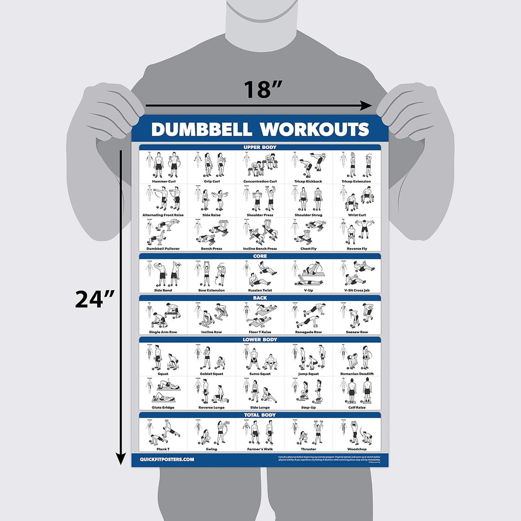 Palace Learning Dumbbell Workout Posters Set - 4-Pack with Resistance Bands Exercise Chart