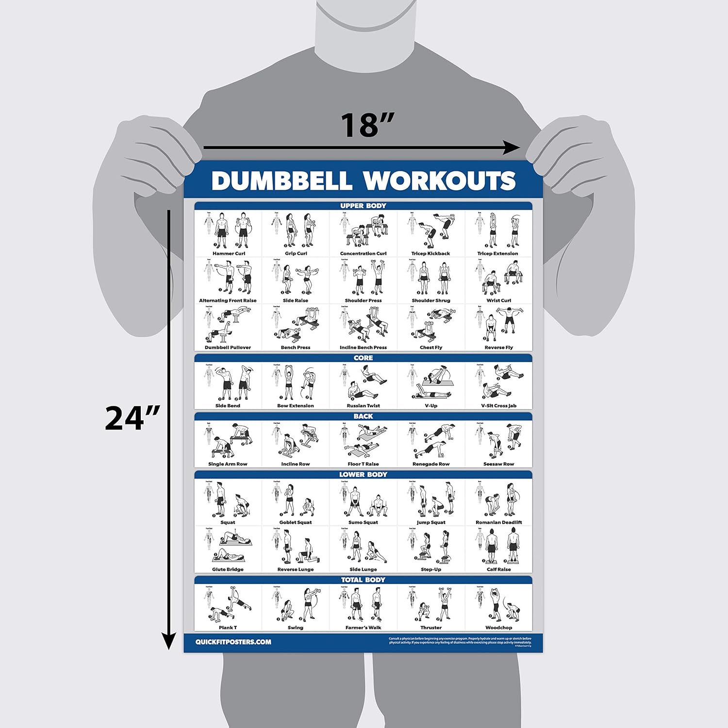 Palace Learning Dumbbell Workout Posters Set - 4-Pack with Resistance Bands Exercise Chart