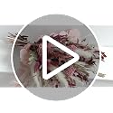 Dried Flower Bouquet, 17-Inch Boho Pampas Grass with Sage Eucalyptus