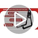 18-Pack Heavy Duty Garage Hooks - Anti-Slip Wall Mount Storage Hooks