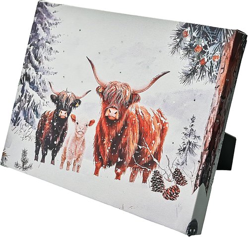 Highland Cattle | LED Lighted Winter Animal Portrait - 6x8 Horizontal Picture with Timer & Kickstand