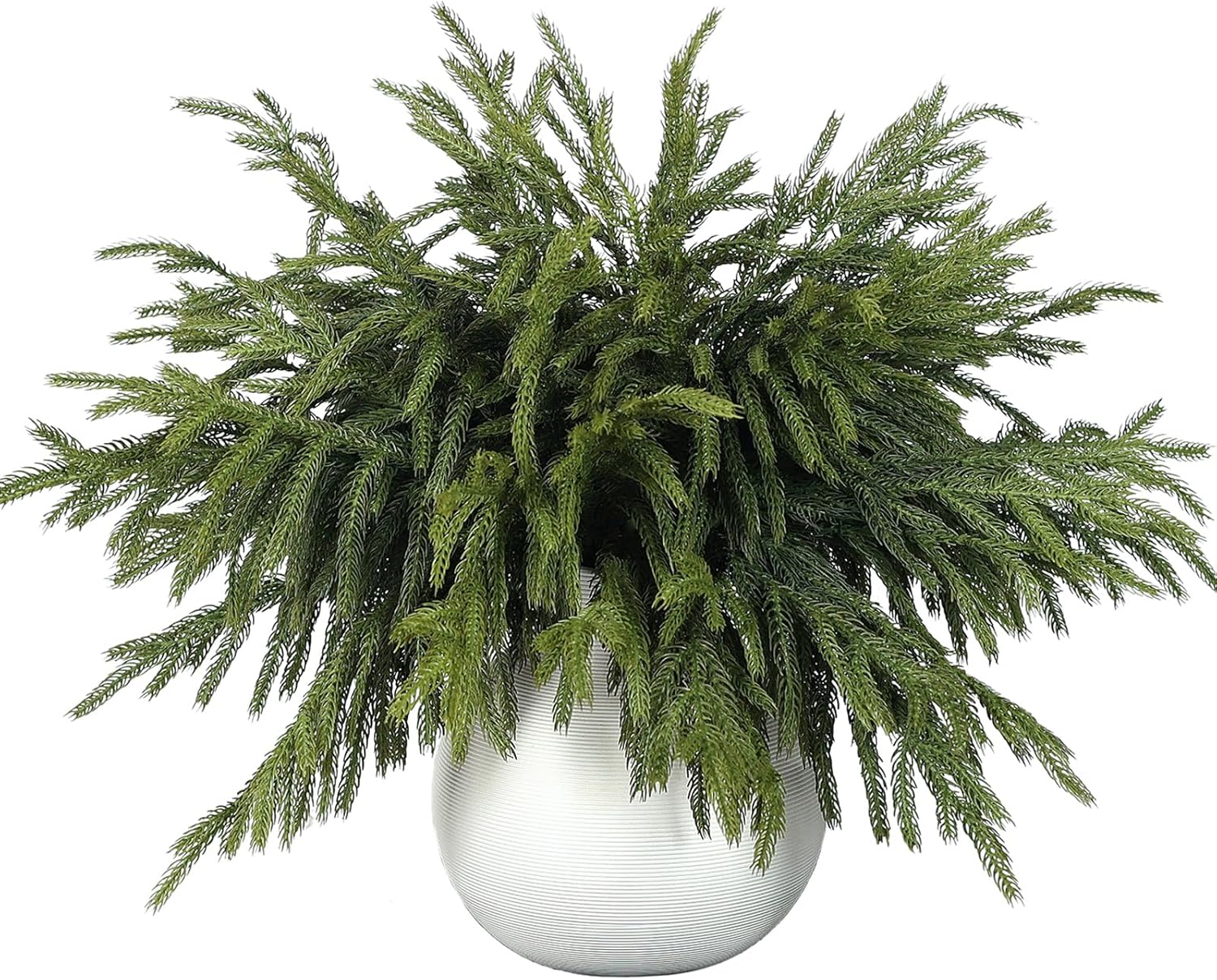 Norfolk Pine Branches - 16 Pcs Real Touch Faux Greenery Stems for DIY Crafts & Holiday Decor | 18”