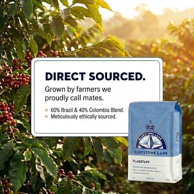 Bluestone Lane Flagstaff Ground Coffee, Medium Roast, Filter & Cold Brew Blend, 12 Ounce Bag