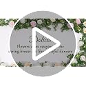 2Pcs 13Ft Eucalyptus Garlands with 8 White Roses - Faux Floral Decor for Weddings and Events