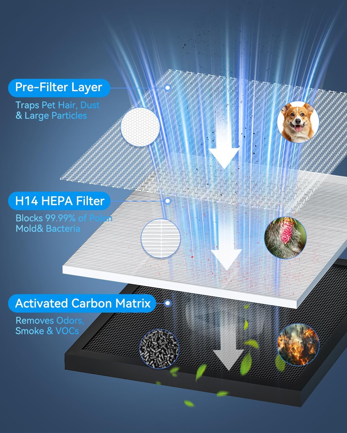 Tailulu HQKJ-180 Air Purifier - Smart Mode, 20dB Sleep Mode, H14 HEPA Filter for Large Rooms Up to 2200ft²