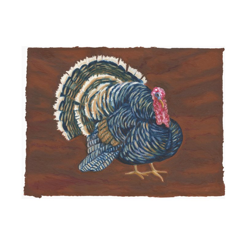 Trademark Fine Art Canvas Wall Art - Andrea Strongwater 'Game Birds Turkey' Wall Art for Living Room, Bedroom, or Office Décor 19 x 14 Inches