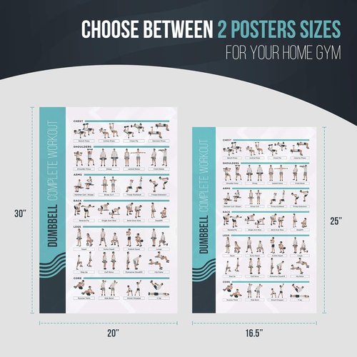 FitMate Dumbbell Workout Poster - Free Weights Routine Guide for Home Gym Decor (16.5 x 25 Inch)