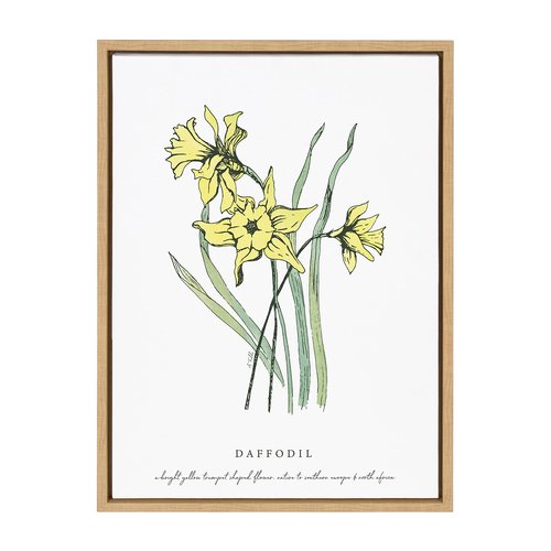 Kate and Laurel Sylvie Spring Daffodil Framed Canvas Wall Art by Statement Goods; 18x24 Natural; Decorative Floral Wall Art
