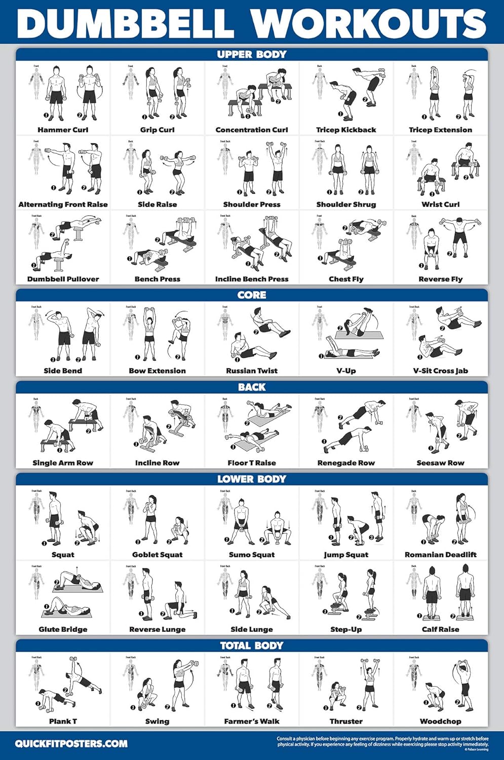Palace Learning 4 Pack - Laminated Workout Charts for Dumbbell, Bodyweight & Resistance Band Exercises | 18” x 24”