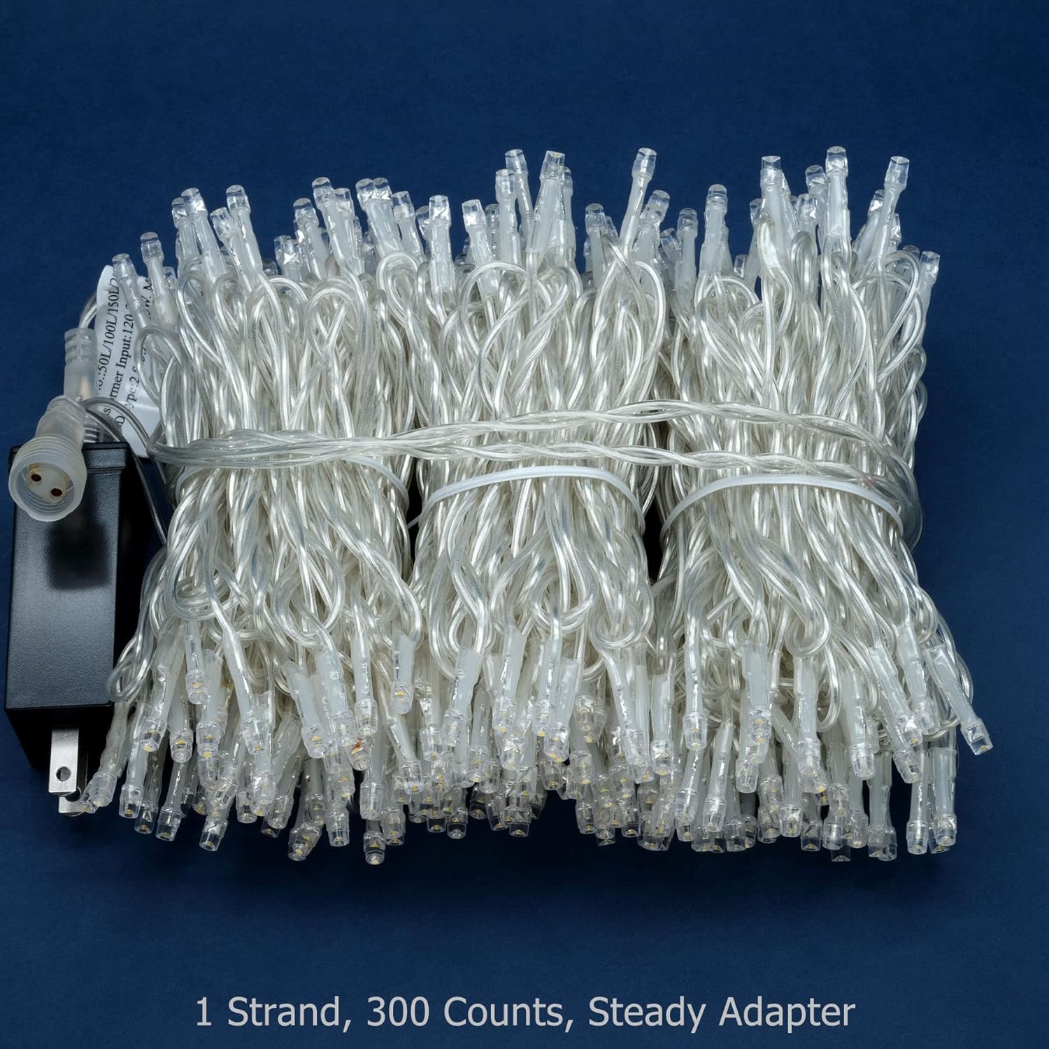 Skiennix 300 Count Warm White LED String Lights - 100 Feet Wide Angle with 8 Modes & Clear Cord