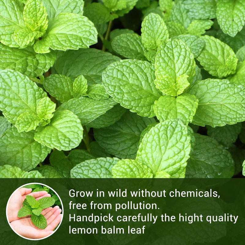 Lemon Balm Tea, 100% Pure & Natural Lemon Balm Leaves Herbal Tea Bags, Promotes Relaxation & Aid In Digestion, Caffeine Free, Non-GMO, Additives Free （1 Pack/100 Bags)