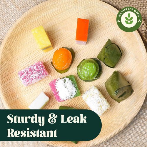 Disposable Round Plates, Compostable & Biodegradable Palm Leaf Plates, Microwave Oven Safe, Eco-friendly, Plates for Parties & Weddings, 10 Inch, 100 Plates