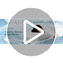 SUPA MODERN Cooling Shredded Memory Foam Pillows, Queen Size (Set of 2)