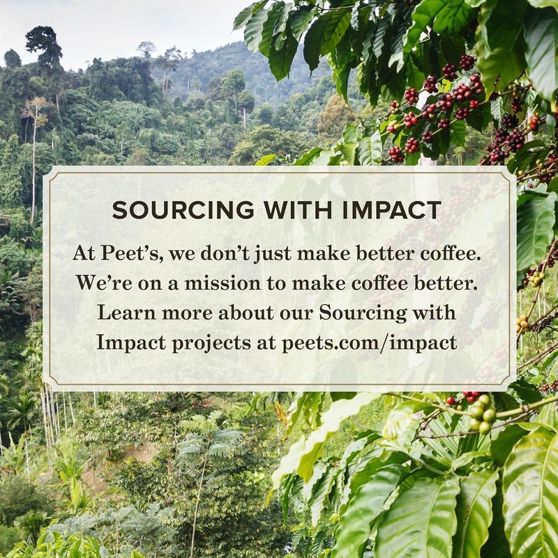 Peet's Coffee, Dark Roast Keurig K-Cup Pods, 100% Arabica Coffee - Major Dickason's Blend 75 Count (1 Box of 75 Pods) (Pack of 2)