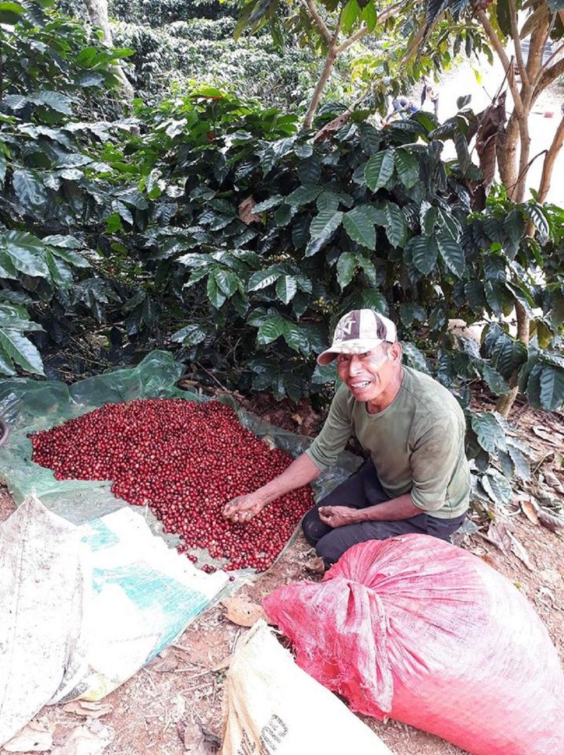 Guatemala Premium Green Unroasted Raw Specialty Coffee Beans Farm Direct Sale, 5 Lbs -Fresh 2025 Crops-
