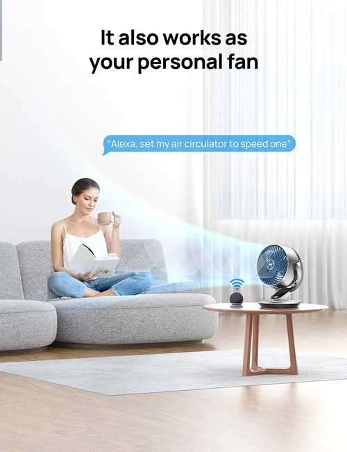 DREO Smart Fan - 120° Vertical & 90° Oscillating Air Circulator | 13-Inch Quiet Fan with Remote & 12H Timer
