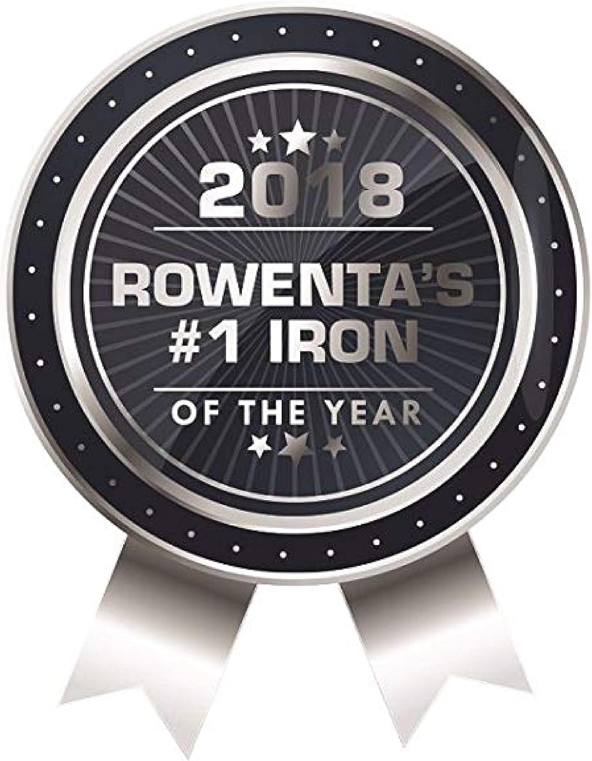 Rowenta Steam Iron - Micro Steam Stainless Steel Soleplate with 400 Holes | 1700 Watts, Portable for All Fabrics