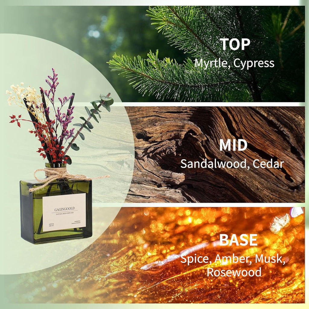 Reed | Earthy Sandalwood Scented Diffuser - 6.09 oz Long-Lasting Home Fragrance with Sticks & Dried Flowers
