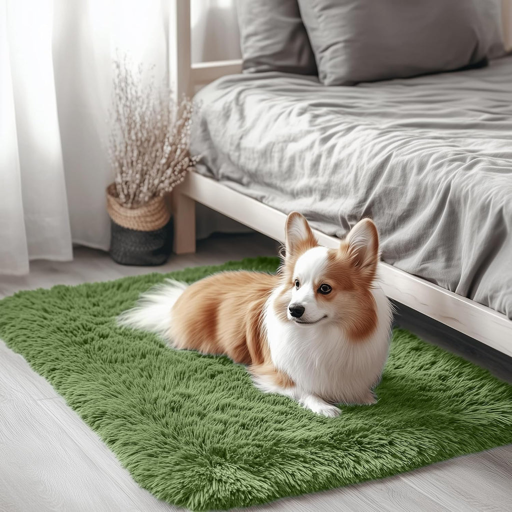 OLANLY Small Bedside Rug - Soft, Machine Washable Shaggy Throw Rug for Bedroom & Living Room | Green