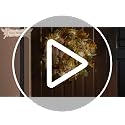 20-Inch Lighted Fall Wreath for Front Door with Timer and Pumpkins