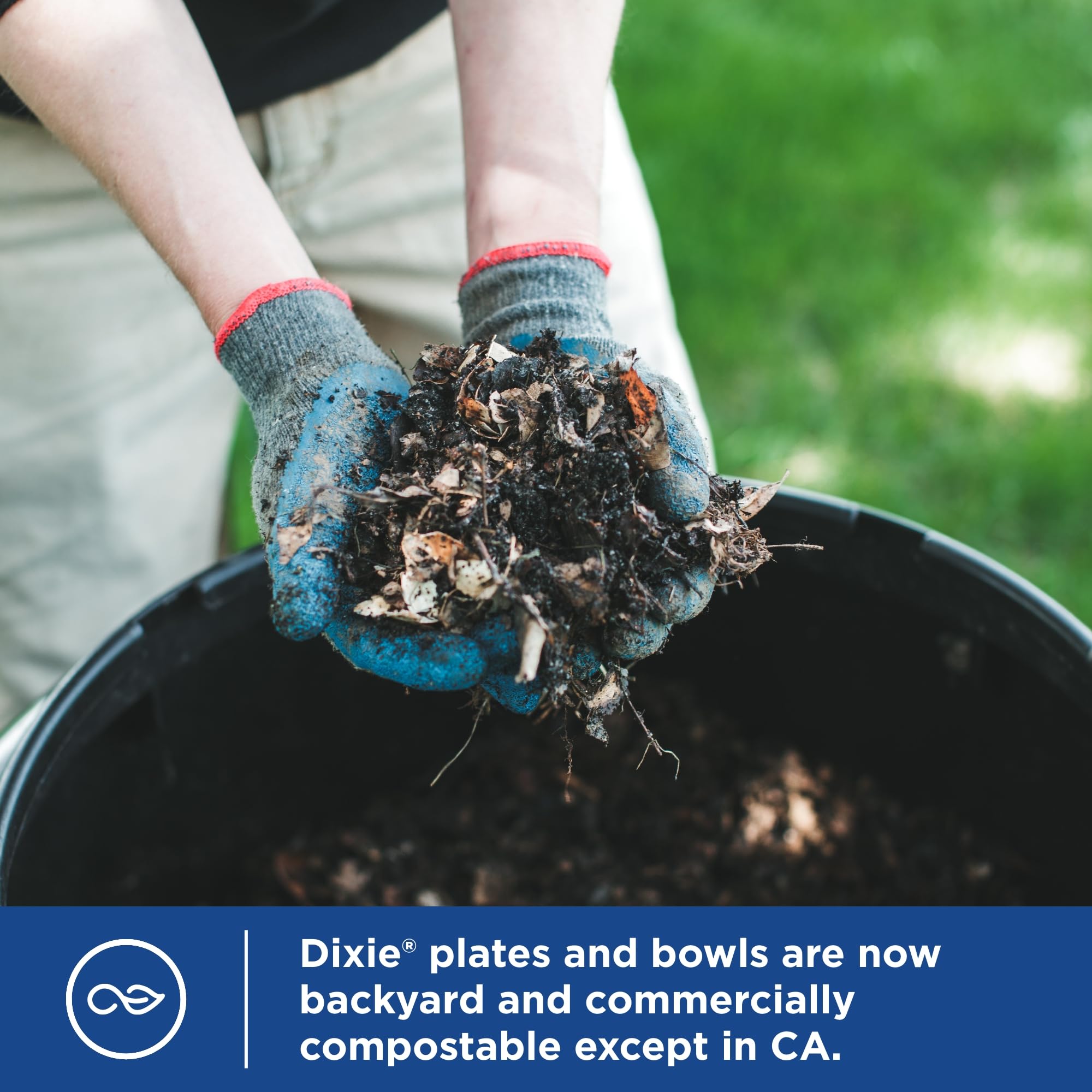 Dixie Large Paper Plates, 10 Inch, 150 Count, 2X Stronger*, Microwave-Safe, Soak-Proof, Cut Resistant, Disposable Plates For Everyday Breakfast, Lunch, & Dinner Meals