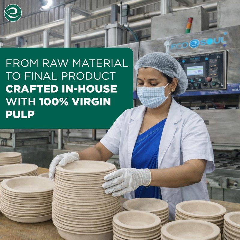 ECO SOUL Compostable Paper Plates 6 Inch, 100 Pack – Small Disposable Dessert Plates, Heavy Duty, Natural Bagasse, Leak Resistant, Microwave Safe, Eco-Friendly Round Appetizer Plates for Party & BBQ