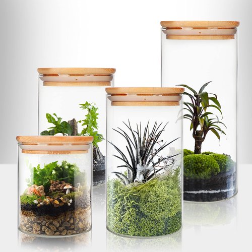 Glass Food Storage Containers Jars with Airtight Bamboo Lid 12 oz 9 pcs, 340 ml Pantry Organization Jar, Glass Terrarium with Lid, Spice, Flour and Sugar Container, Canister Set for Kitchen Counter