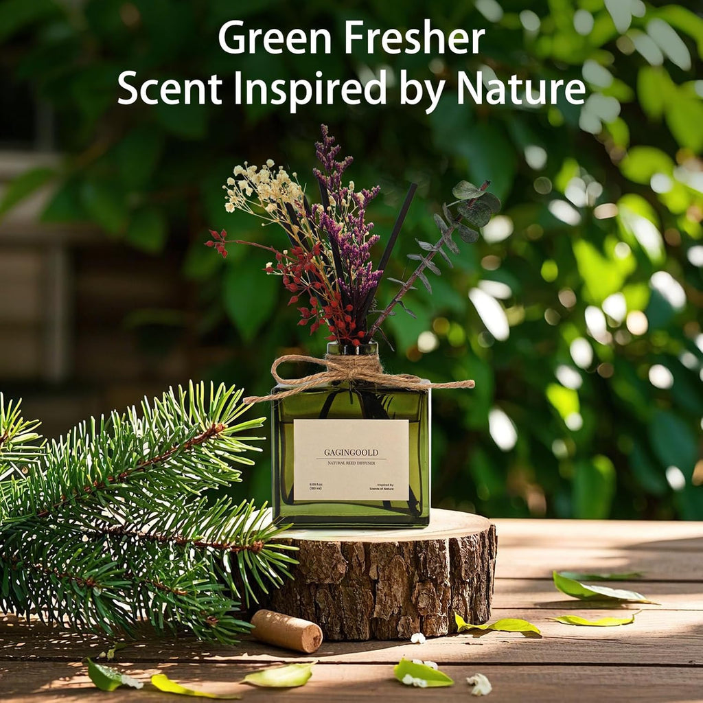 Reed | Earthy Sandalwood Scented Diffuser - 6.09 oz Long-Lasting Home Fragrance with Sticks & Dried Flowers