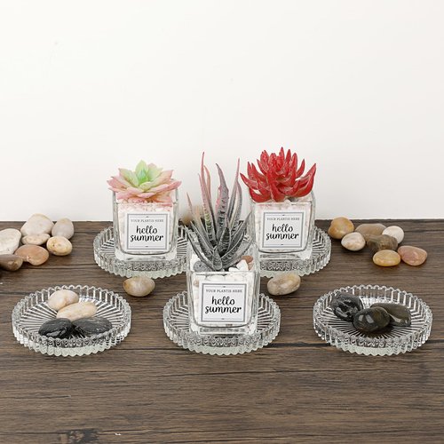 JUXYES 8 Pack Clear Crystal Coasters Round Cup Mat, Glass Coasters for Drinks Coffee Tea Wine, Decorative Wine Bottle Coaster, Crystal Drink Coasters for Restaurant bar Kitchen Dining Table