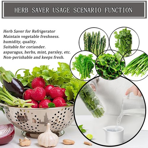 Rkssws Herb Saver for Refrigerator, Cilantro Container for Fridge, Fresh Herbs Lettuce Keeper for Refrigerator Parsley Mint Leaves Fresh Herb Keeper, Refrigerato Storage for Fresh for 2-3 Weeks