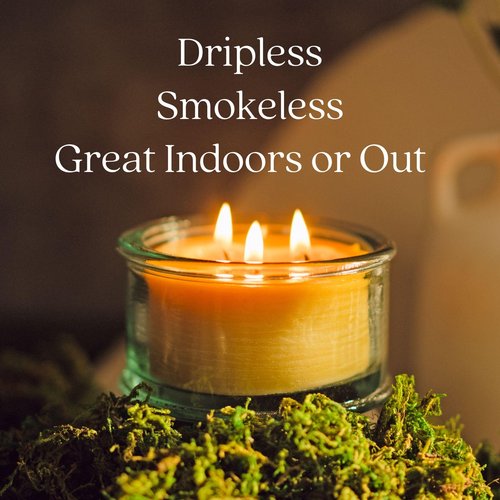 Bluecorn Beeswax 3-Wick Candle, 100% Pure Bees Wax, Vanilla Scented, Paraffin & Soy Free Candle Wax, Clean Burning, Long Lasting, Home Decor, Gifts for Women & Men, American Made, 10 Oz, 1 Ct