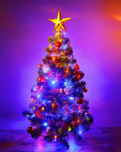 Fairy Lights - Battery Operated Twinkle String Lights | Waterproof Silver Wire, 5 Feet, 60 LEDs for DIY Decor & Holiday Celebrations