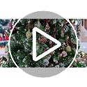 Tropical Fish Christmas Tree Ornament - Coastal Sea Ocean Beach Decor - Variation A