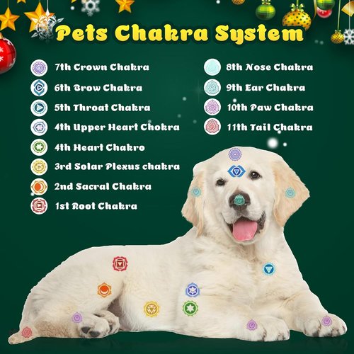 Crystal Advent Calendar 2025 by [Brand Name] - 24-Day Christmas Countdown with Natural Chakra Stones - Ideal Gift for Kids & Pet Lovers