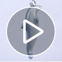 Playful Dolphin Glass Ornament - Old World Christmas (Variation: Playful Dolphin)
