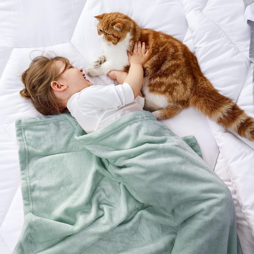 Bedsure GentleSoft Fleece Blanket - Cozy Small Throw for Kids, 43x55 Inches, Sage Green