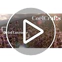 Dried Lavender Buds Bulk (1/2 lb) for Crafts, Sachets & Wedding Toss