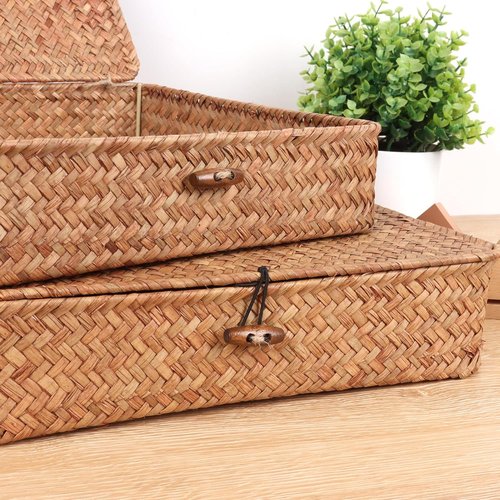 Moosky Flat Wicker Shelf Baskets - Handwoven Seagrass Storage Bins with Lid | Set of 2, Coffee Color