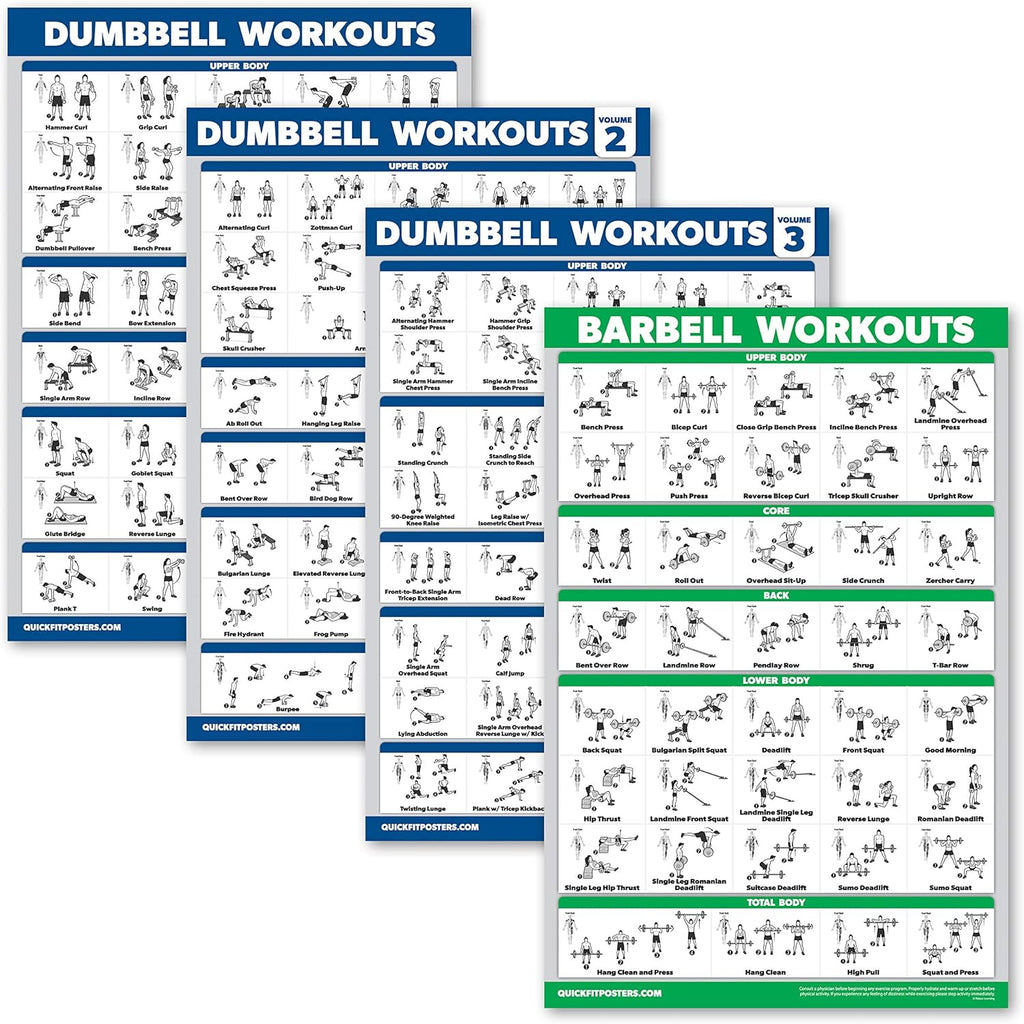 Palace Learning Dumbbell Workout Posters Set - Laminated Exercise Charts (18" x 24") - Volume 1, 2 & 3