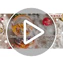 Christmas Snow Globe Music Box with LED Lights - Plays 14 Songs