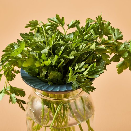 Modern Sprout Produce Keeper for Fresh Herbs & Greens - Eco-Friendly, BPA-Free, Sustainable Materials - Extends Freshness Up to 2 Weeks - Gift for Plant Lovers and Home Chefs - 2 Pack