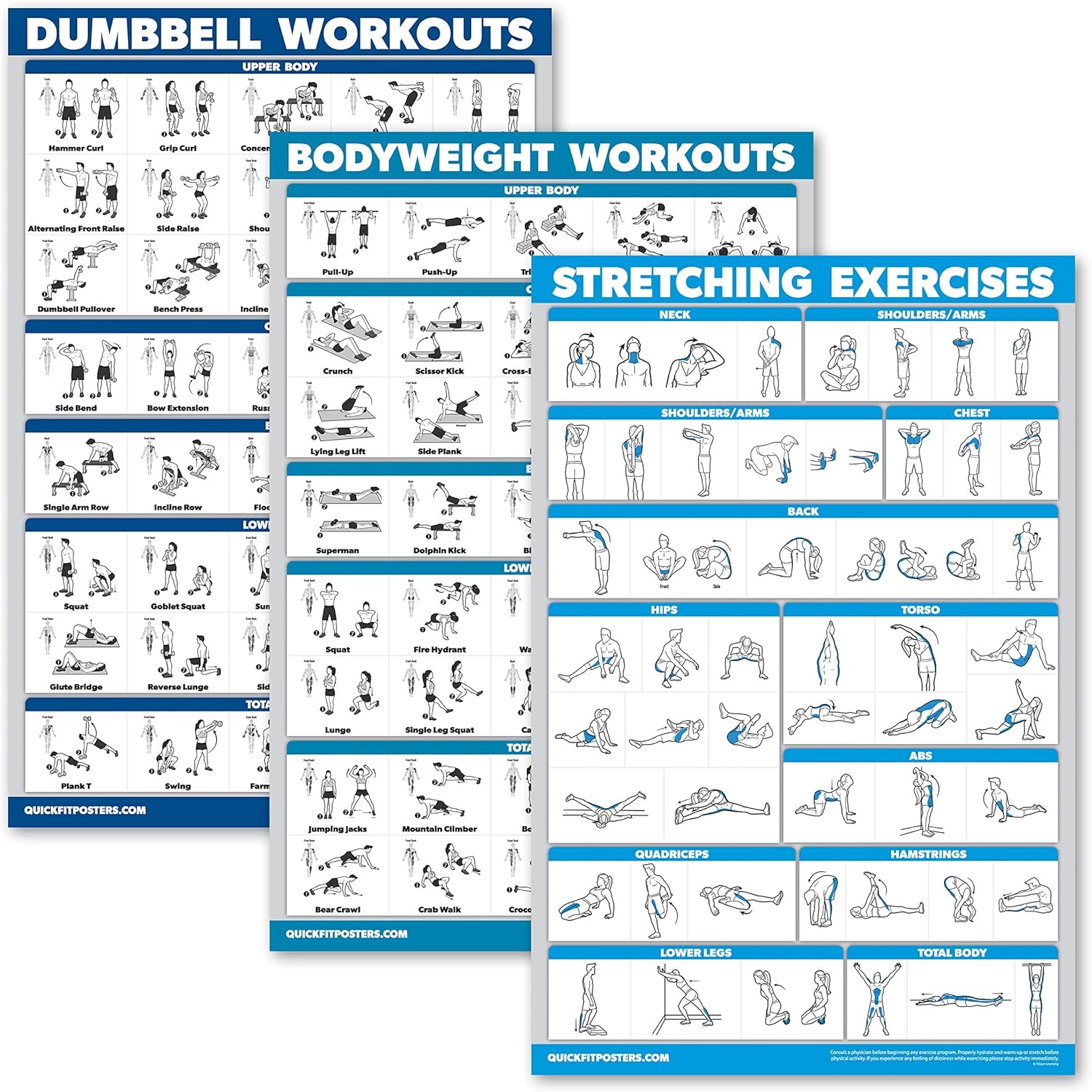 Palace Learning QuickFit Dumbbell & Bodyweight Workout Poster Set - Laminated 18" x 24" Charts (3 Pack)