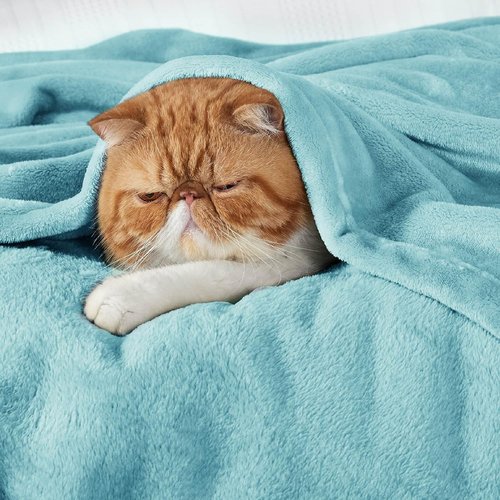Bedsure GentleSoft Fleece Throw Blanket - Lightweight Plush Cozy River Blue Blanket, 50x60 Inches