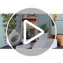 Small Artificial Potted Plants (2-Pack) - Mini Faux Desk & Room Decor