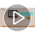 Self-Setting Atomic Digital Wall Clock with Auto DST & Temperature