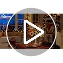 22-Inch LED Birch Tree Photo Display with Clips and Timer