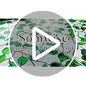 Rainbow Stained Glass Window Privacy Film | UV & Heat Blocking
